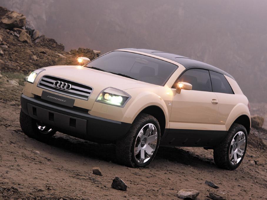 Забытый кроссовер Audi ТТ