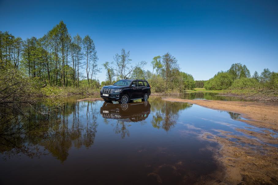 Монстр на каникулах: прощание