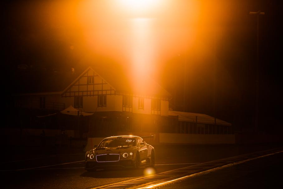 Слоны тоже умеют летать