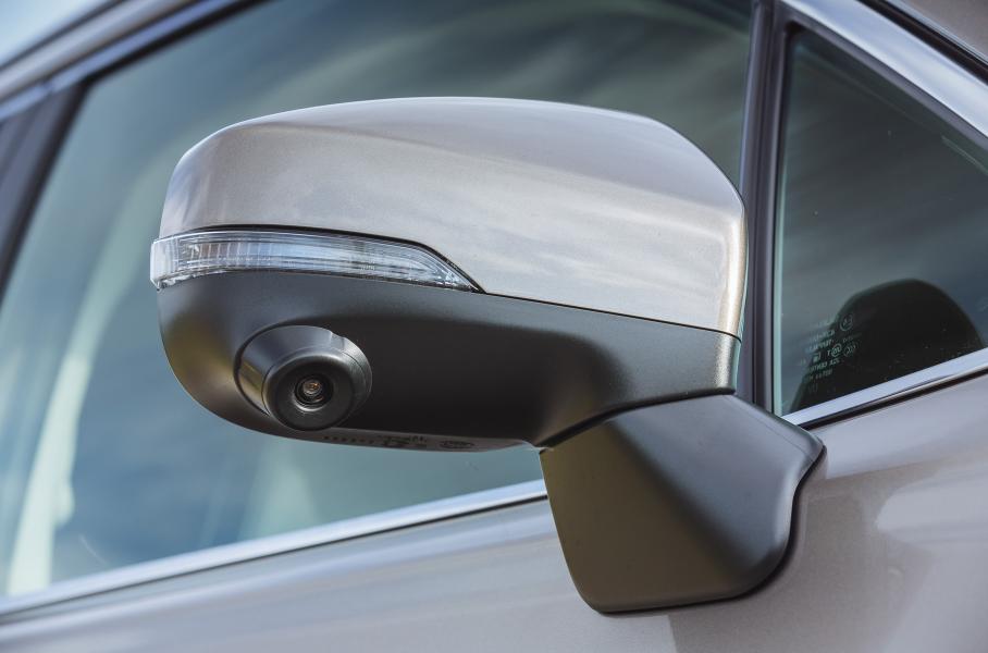 Интеллигентный лесник