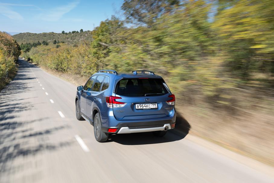 Интеллигентный лесник