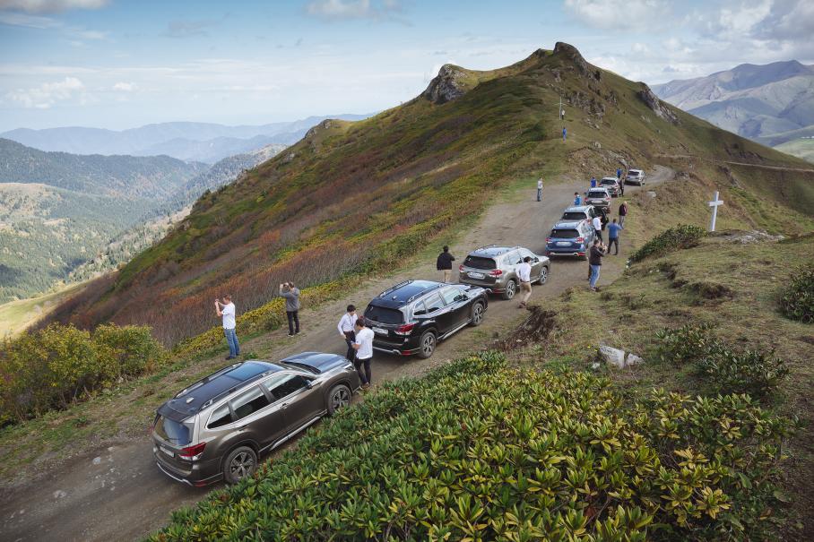 Интеллигентный лесник