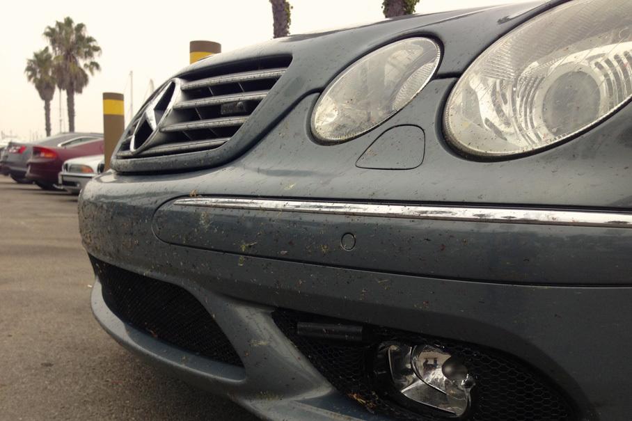 От океана до океана за 29 часов