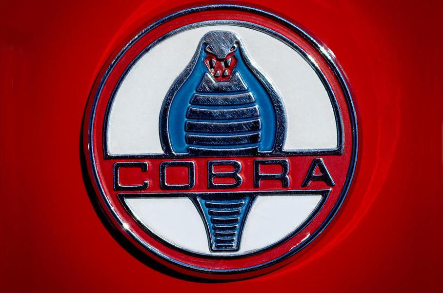 Первоначальный вариант эмблемы