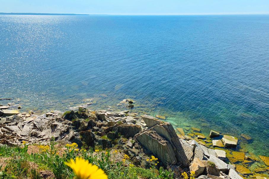 Исследуем потайные уголки Эстонии на Nissan Qashqai