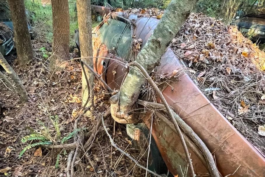 В лесу нашли кладбище старых американских машин марки, которая не существует уже 35 лет