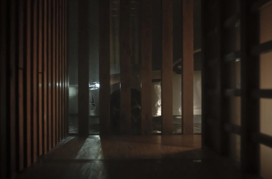 Видео: кроссовер Mazda CX-60 получил светоотражающую краску