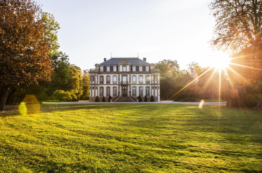 Bugatti занялась восстановлением лесов