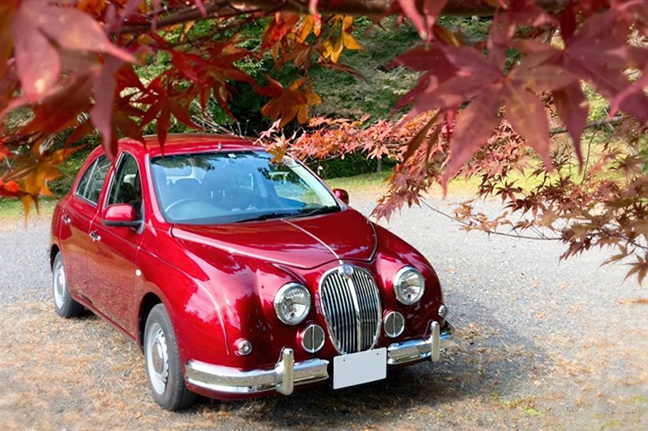 Mitsuoka Viewt