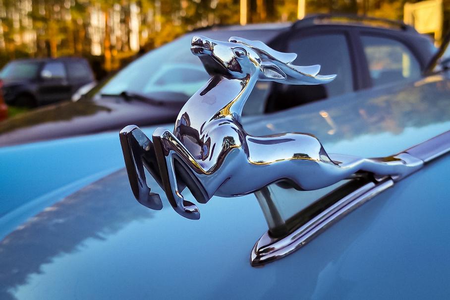 В Минпромторге РФ допустили возрождение «Волги» в 2024 году