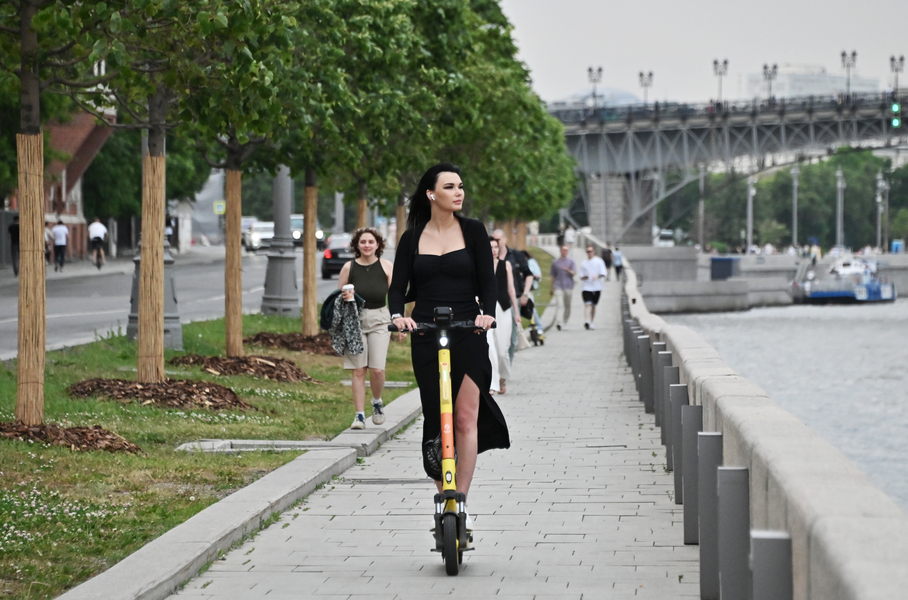 Три четверти москвичей высказались против электросамокатов