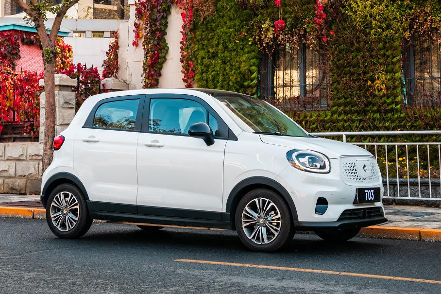 В Польше начали собирать дешевые китайские электромобили