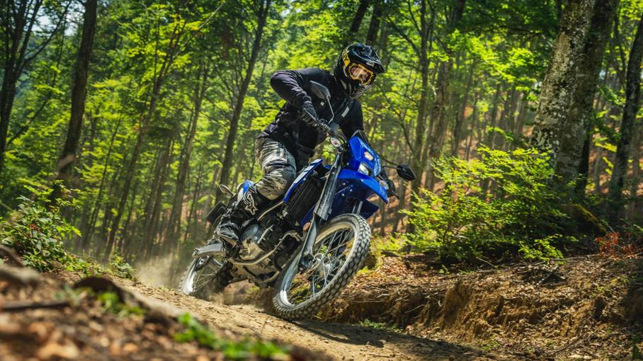 Yamaha WR125R