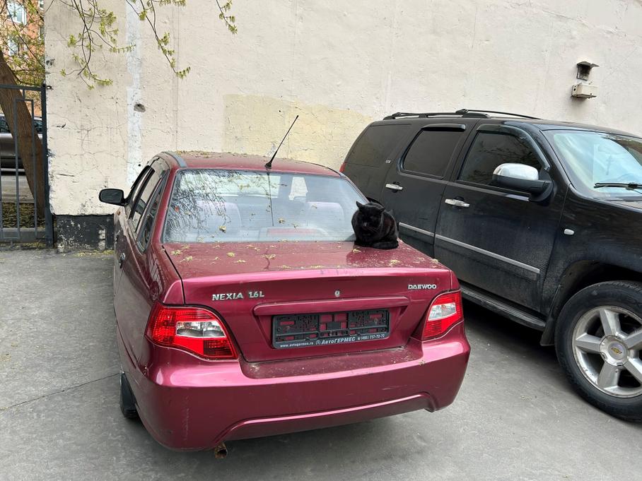Автомобиль без номера